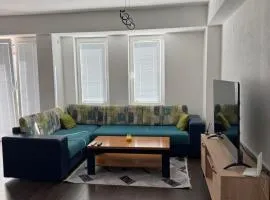 Cozy apartment with free parking