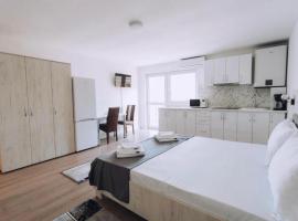 Apartamente TRS，位于比斯特里察的酒店