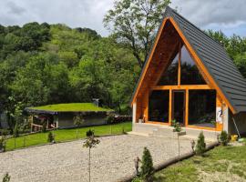 Cabana AFrame Olanesti，位于百乐&middot;奥拉内斯蒂的带泳池的酒店