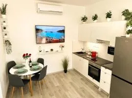 VIBE S31 Apartman ,AC,Free Parking