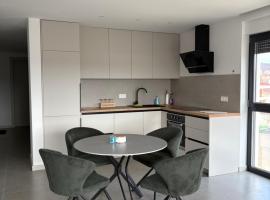 Apartment Delux，位于波素斯捷的酒店