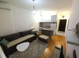 Apartman Vuk