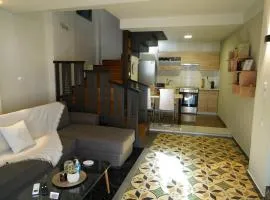 Karditsa's Loft House