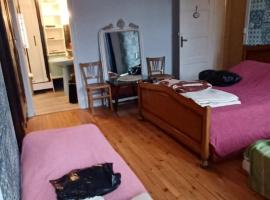 Chez Virginie - chambre du Bourg，位于卢尔德的酒店