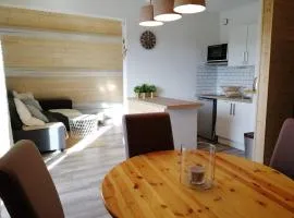 Appartement au pied des pistes