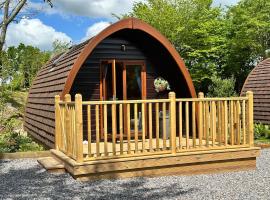 Cosy Pod by The Moor & Fishing，位于Cheriton Bishop的酒店