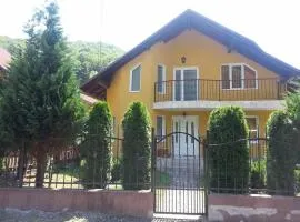Casa Brad Sovata
