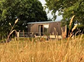 Molly Top Farm