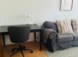Central apartment
