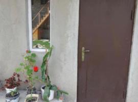 Jemal Guest House，位于Cholashi的酒店