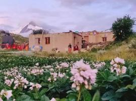 Ancient Mud house，位于Sissu的酒店