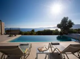 Efxenia Villas Ammousa