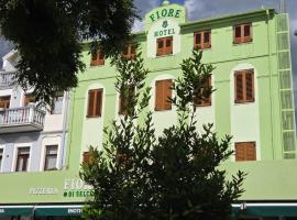 Fiore Hotel，位于塞尔瑟的酒店