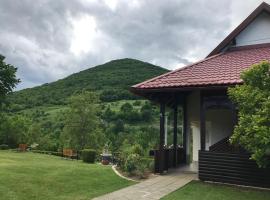 Apartments Renata，位于斯莫利亚纳茨的酒店