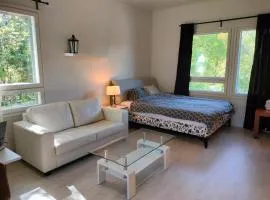 Huoneisto grillausmahdollisuudella