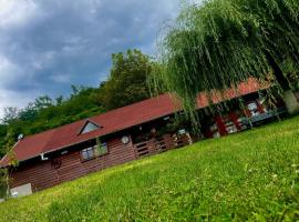 Cabanuta de sub deal，位于大盐矿镇的乡村别墅