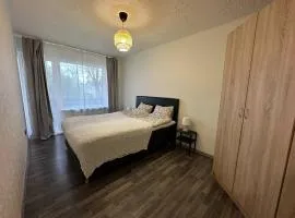 Limbažu Jaunās ielas apartamenti