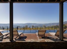 Casa da Quinta de Santa Cruz - Douro Valley - by RowdHouses，位于比索达雷加的酒店