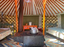 Tsaatan - Mother's Traditional Ger
