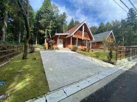 Starry sky 花水木莊，位于箱根的木屋