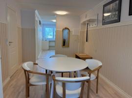 Stylish & Bright ARTpartment- Family -Friendly，位于哈普萨卢的酒店