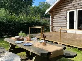 Knus boomstamhuisje op de Schatberg - nabij Toverland