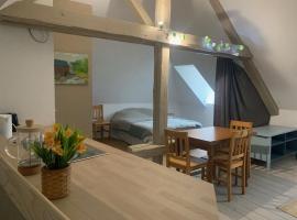 Appart cosy, calme proche fôret，位于La Petite-Raon的酒店