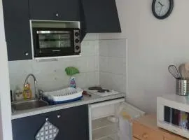 Edelweiss, Studio 5 pers, balcon sud est, vue sur les montagnes