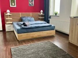 Großes 1 Zimmer Apartment