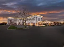 南托莱多莫米希尔顿恒庭酒店