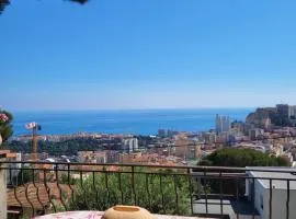 Appartement dans villa provençale avec terrain de boules vue imprenable sur monaco