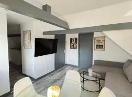Soh Rent Appartement 3p Schiltigheim