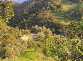 Gîte tazekka，位于塔扎的酒店