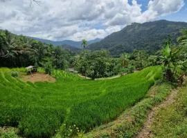Heeloya mount view garden knuckles trekking ,Heeloya village walk