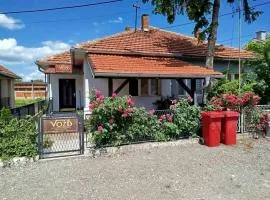 Vožd