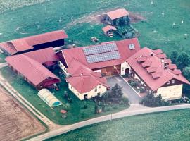 Haus Anna，位于灿特的酒店