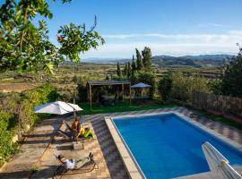 Beautiful Villa with huge private pool and vineyard view，位于瓦伦西亚的酒店