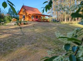 Domek w lesie，位于比乌戈拉伊的酒店