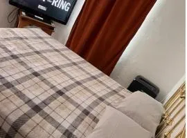 Historical cozy blue apt in the heart of downtown