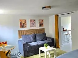 Grand studio cosy proche Paris