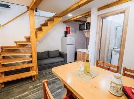 Sleek and Stylish Umag Apartments with Sea View - Comfort Two Bedroom Apartment with Terrace