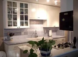 Beautiful 1 Bed Beach Condo #122