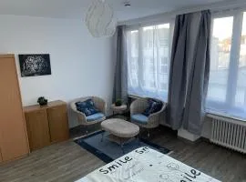Friendly-room 200 m to 5 museums