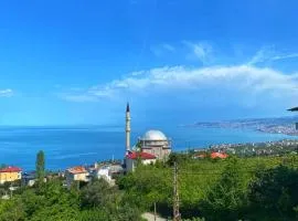 Denizin ve doğanın birleştiği yerde mükemmel bir tatil için mükemmel bir villa 9 yataklı- 4 yatak odalı-3 banyolu-3 klimalı