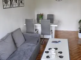 Apartament Przy Fosie