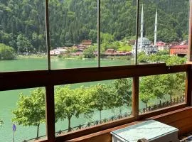 敦雅酒店