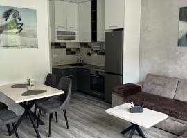 Apartman Misovic 2，位于泽莱尼卡的酒店