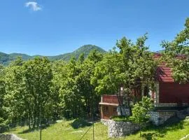 Mountain Village House