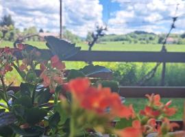 Apartman Mia，位于Perušić的酒店