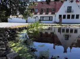 The Cotton Suites B&B